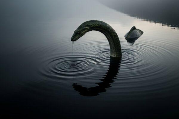 Jak wygląda potwór z loch ness? Legendy i fakty